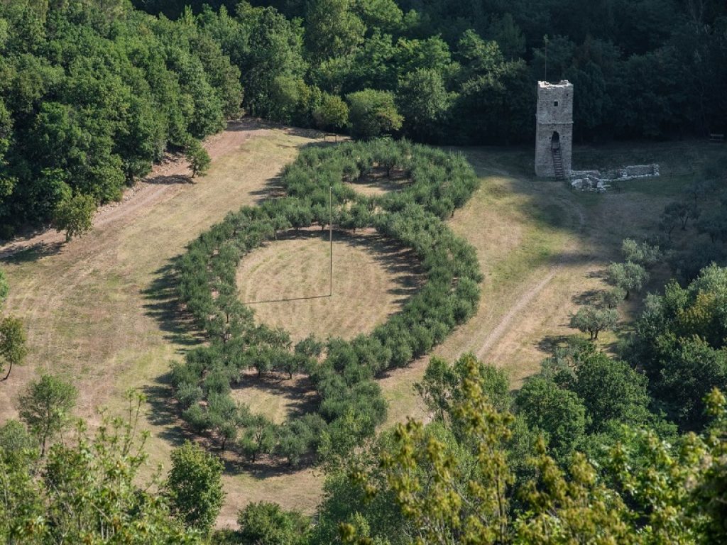 Astronomi per una notte al Bosco di San Francesco