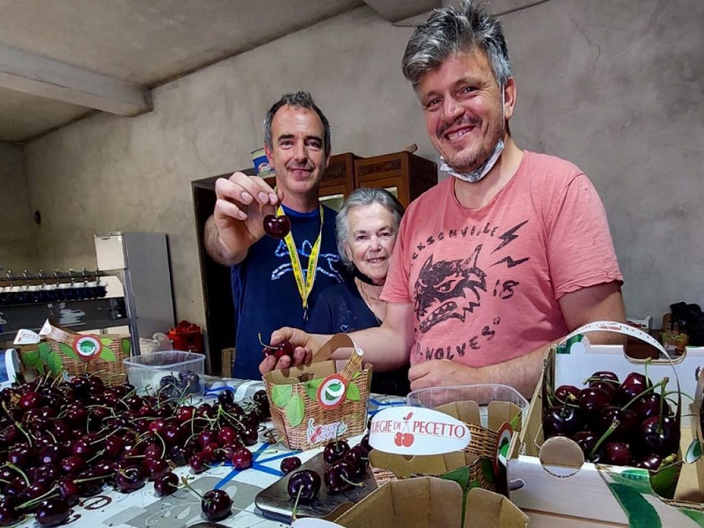 Azienda pecetto ciliegia record 33 grammi