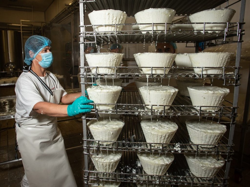 L’export dei formaggi Made in Italy nel 2021 ha raggiunto quota 3,6 miliardi di euro, facendo registrare una crescita pari al +12,3% in valore e al +10,6% in volume