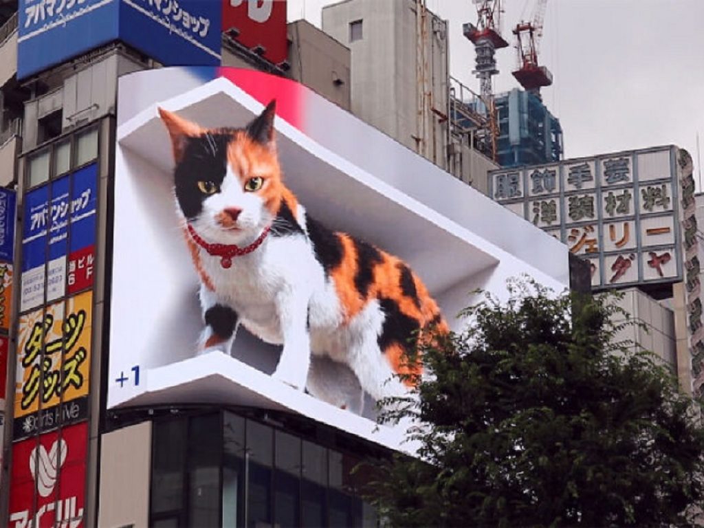 Giappone: gatto gigante a Shinjuku, il video è virale