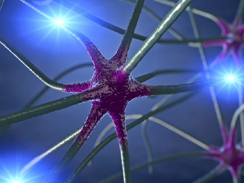 È muscolare il dolore che colpisce circa il 50% dei pazienti post Covid e aumenta anche quello del viso. La colpa? È del virus che viaggia fino ai nervi 