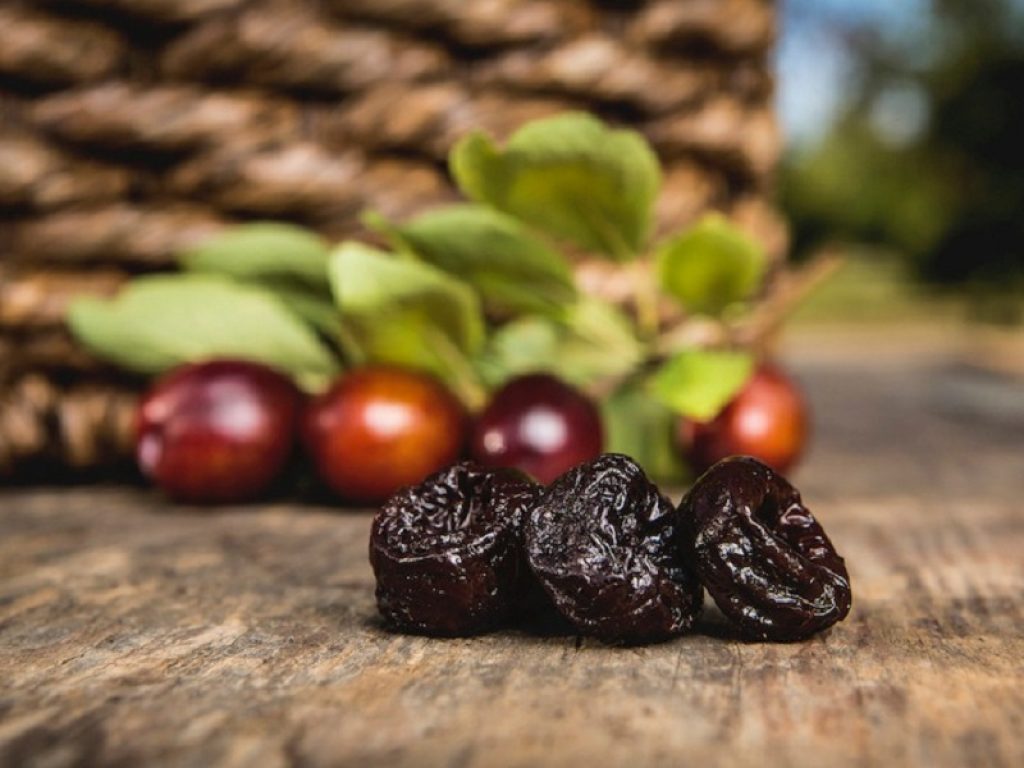 Nuovo studio: mangiare una porzione di prugne secche ogni giorno migliora i fattori di rischio per le malattie cardiache e l'infiammazione nelle donne in menopausa