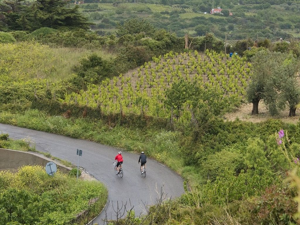 In Sardegna tre (vini) bianchi e il Pecorino Romano pedalano con BEST, nuova rete di bike - hotel