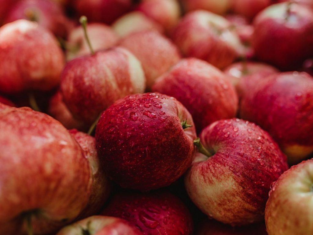 Royal Gala Val Venosta: arrivano le prime mele