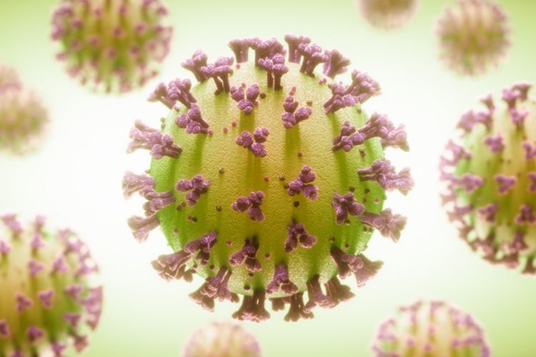 funzione endoteliale coronavirus cellule immunitarie linee guida anticorpi monoclonali stada health report