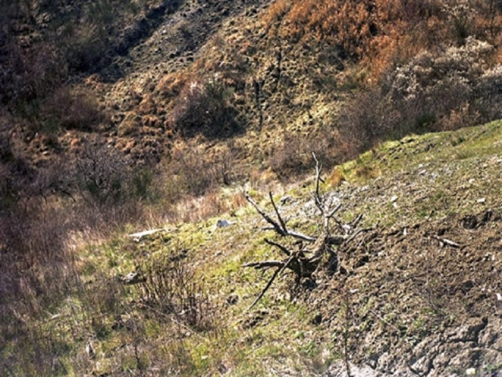 "I colori della solitudine" di Dave alla Pallavicini22 Art Gallery