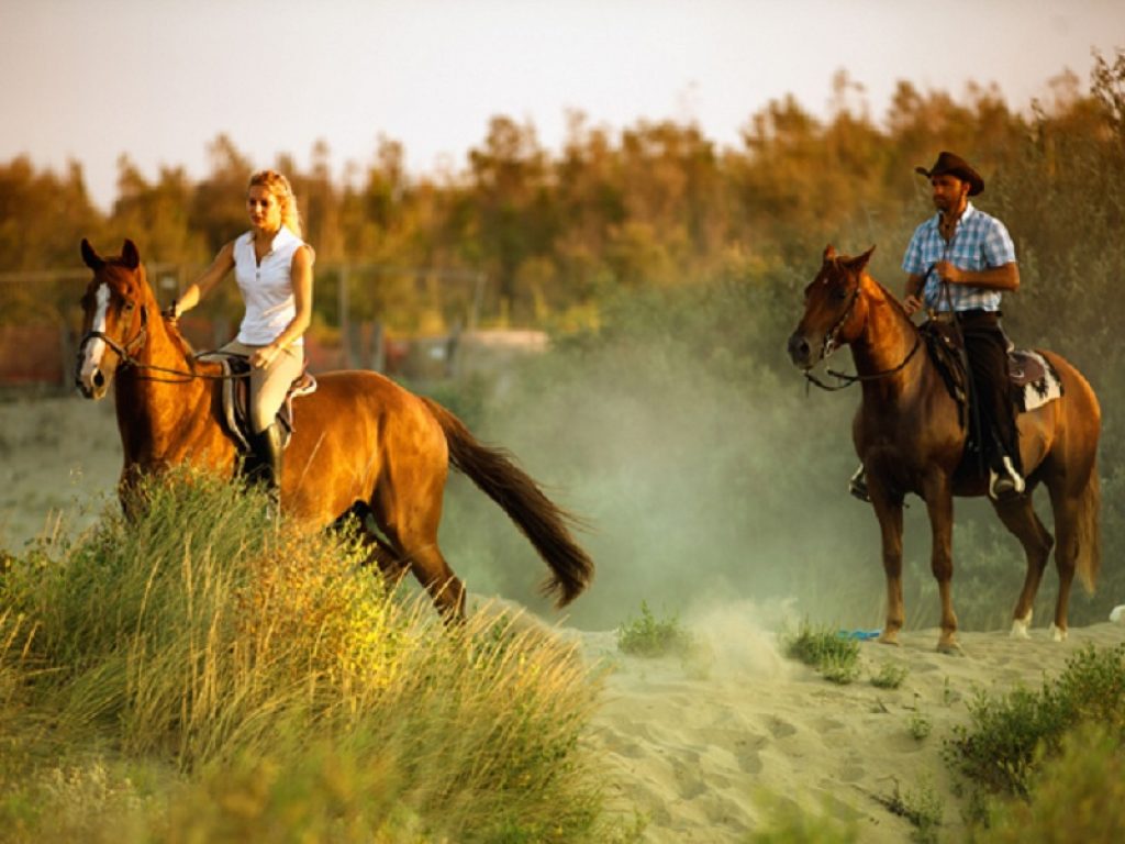 Il Delta del Po si scopre a cavallo o in barca