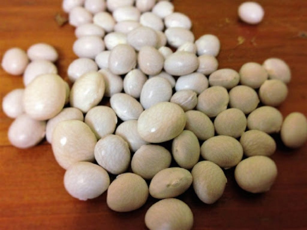 Il fagiolo poverello calabrese è Presidio Slow Food