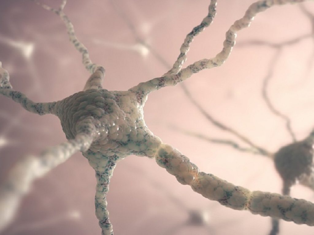 Nuove speranze di cura per la Gangliosidosi GM2