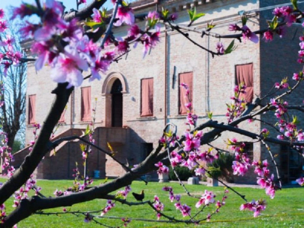 A Ferrara sale l'attesa per la rassegna Interno verde danza: si svolgerà da venerdì 10 a domenica 12 settembre, ecco il programma