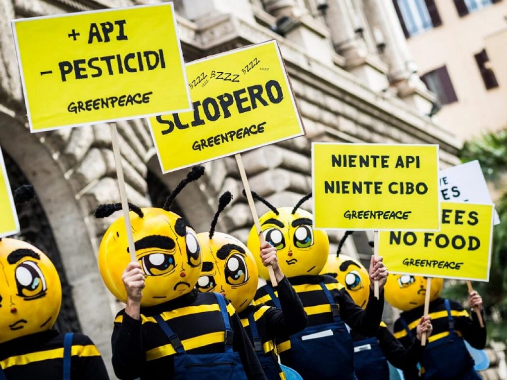 A settembre Greenpeace compirà 50 anni: la storia di mezzo secolo di attivismo ambientale, a partire dalla prima campagna contro i test nucleari in Alaska