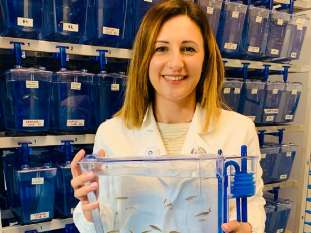 maria marchese ricercatrice