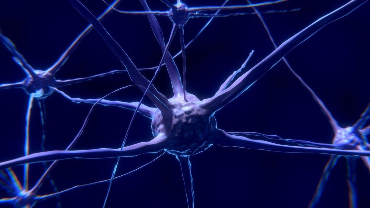 parkinson strutture cerebrali deficit di glut1 decadimento cognitivo