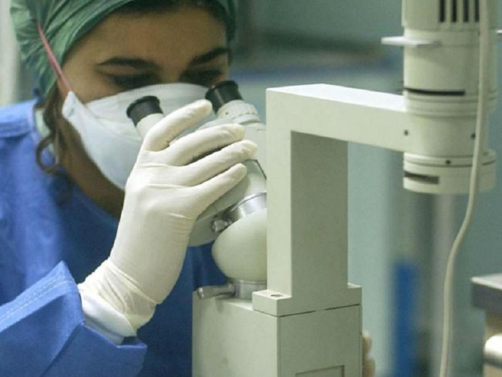 ricerca agricoltura crea