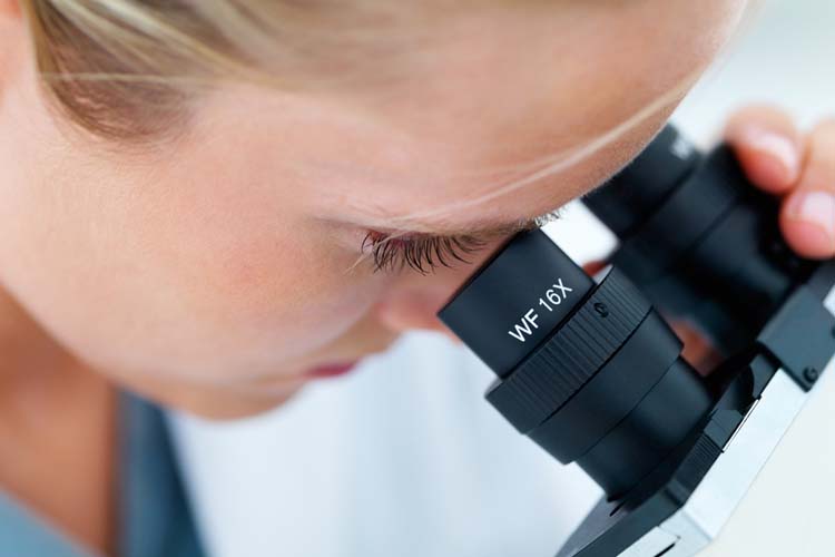 L’E-caderina è una proteina la cui alterazione determina la perdita di contatti cellula-cellula, danneggiando l’integrità degli epiteli