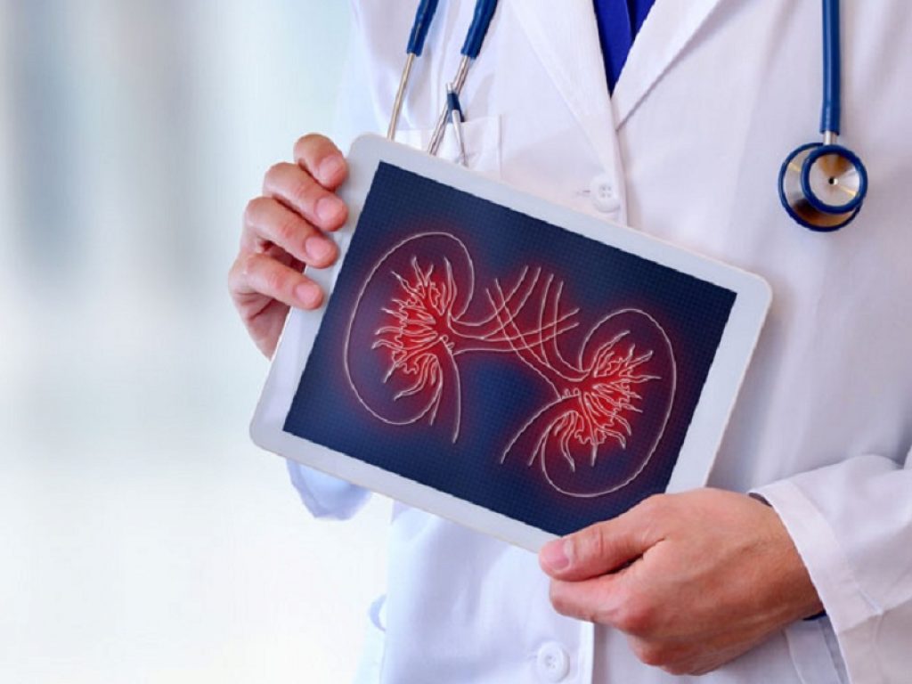 Nuovi farmaci per la malattia renale cronica e strategie per migliorare i trapianti. Arrivano dal Congresso della Società Italiana di Nefrologia le ultime novità nella cura dei pazienti nefropatici