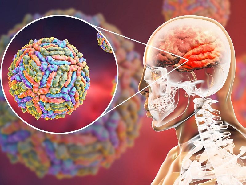 West Nile Virus: misure di sicurezza in 23 province