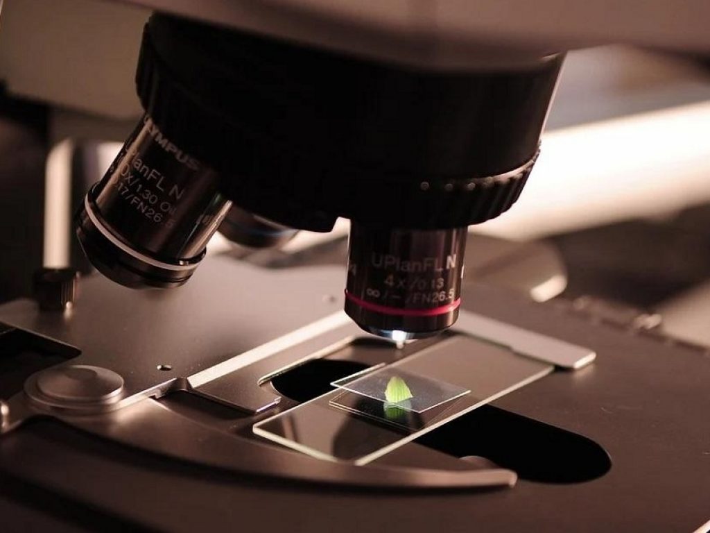 Celiachia: la ricerca del Policlinico di Milano è tra le migliori al mondo secondo gli algoritmi sugli studi scientifici di Expertscape