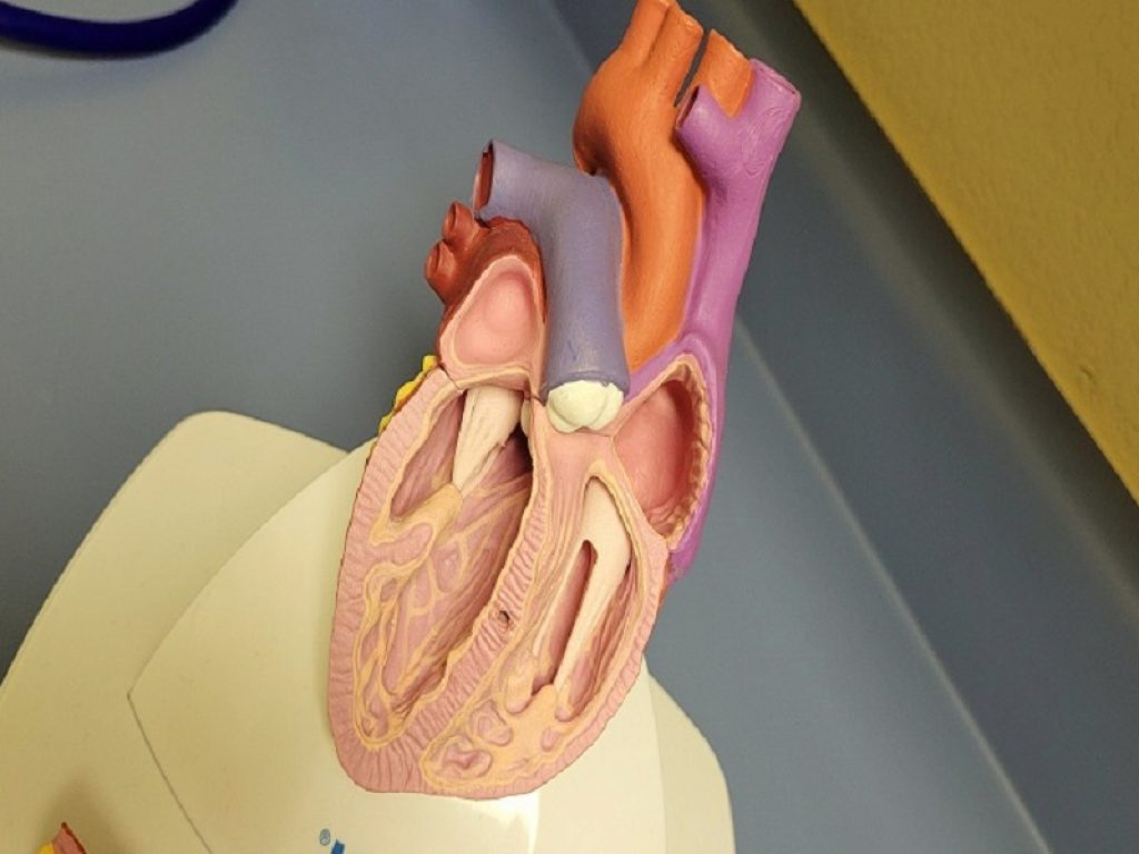 Diagnosi e terapia delle valvulopatie