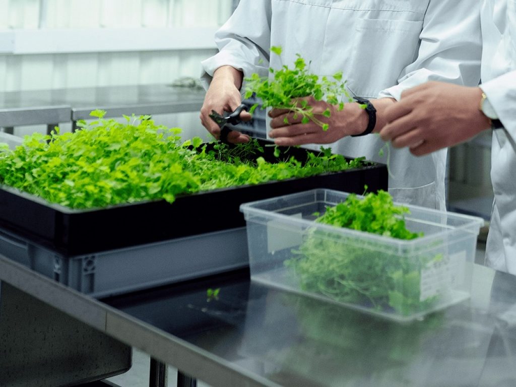 Lavazza partner del Master in Design for Food