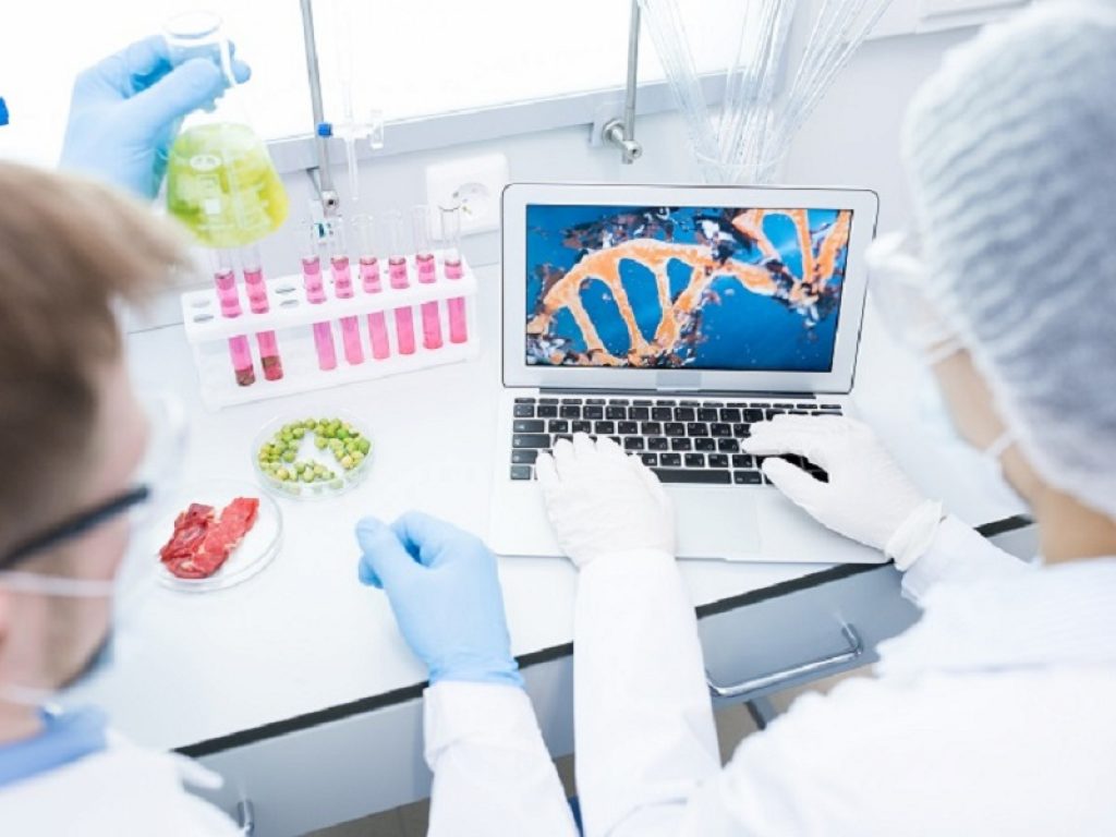 dna stress editing dell'RNA ely lilly