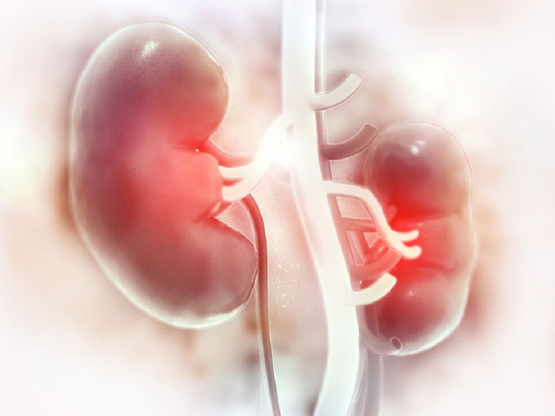 Malattia renale cronica: Dapagliflozin approvato in Europa