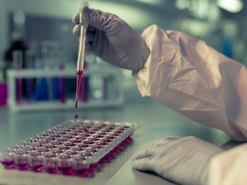 Mieloma multiplo ricaduto/refrattario: secondo nuove analisi il bispecifico elranatamab è una valida opzione anche in pazienti già esposti ad anti-BCMA