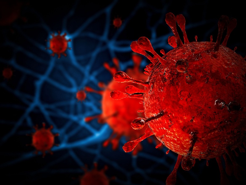 sangue immunità coronavirus