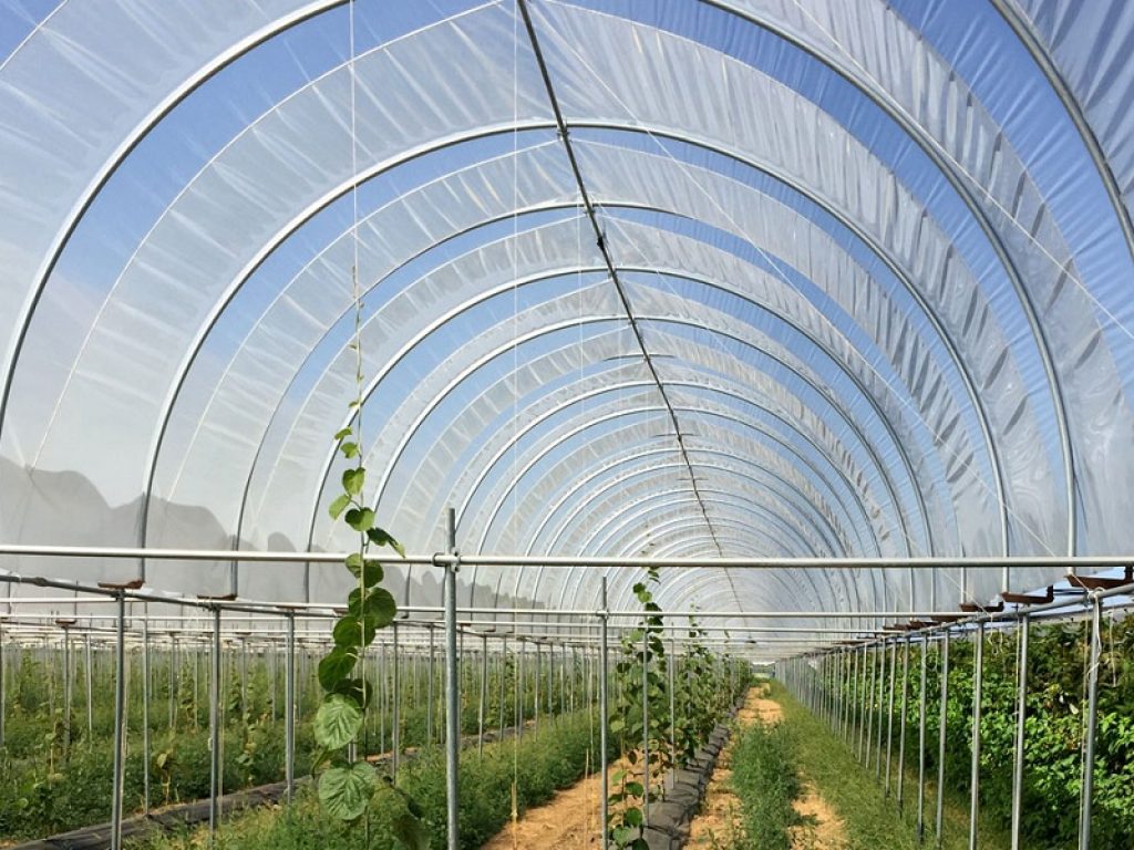 Rifiuti, Ecopolietilene