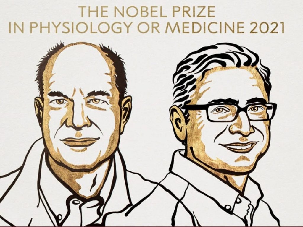 Il Nobel per la Medicina va agli americani Julius e Patapoutian