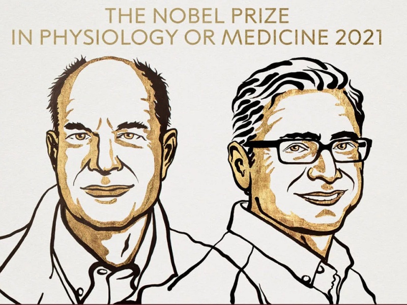 Il Nobel per la Medicina va agli americani Julius e Patapoutian