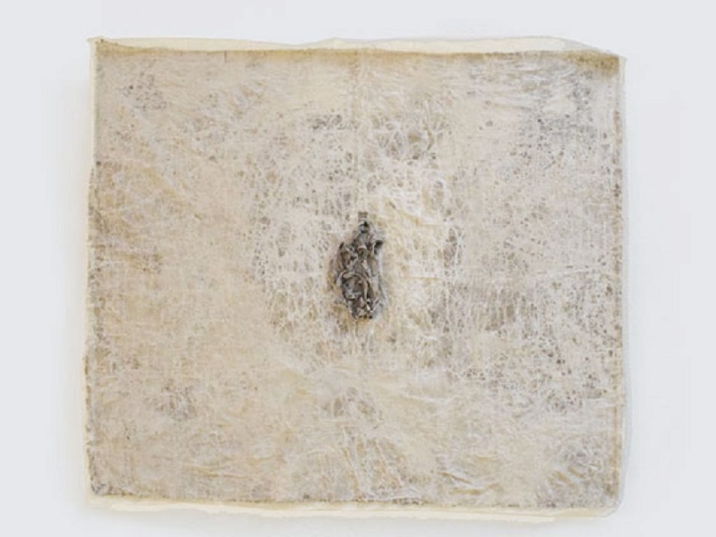 Sabato 23 ottobre la galleria d'arte FABER ospiterà la mostra VULNERABILE di Giulia Spernazza: ecco tutte le informazioni utili