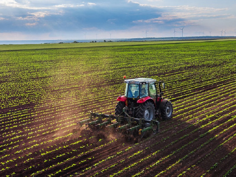 coltiviamo agricoltura sociale