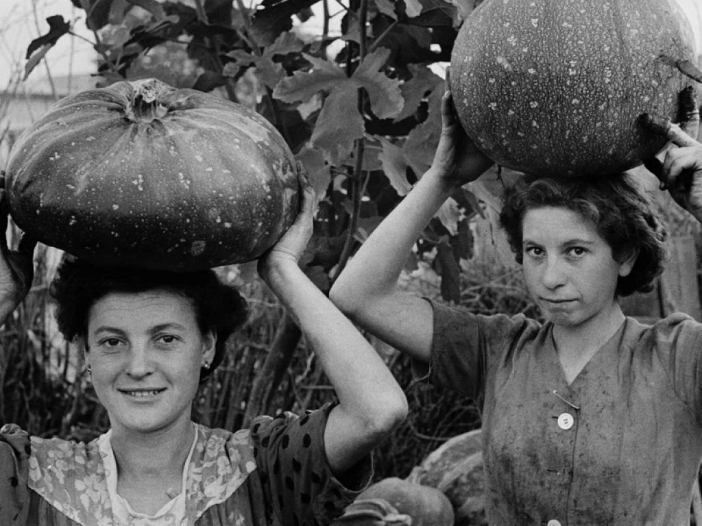 La storia dell’industria alimentare nelle fotografie in mostra alla Biennale del Mast: undici esposizioni in dieci sedi storiche del centro di Bologna