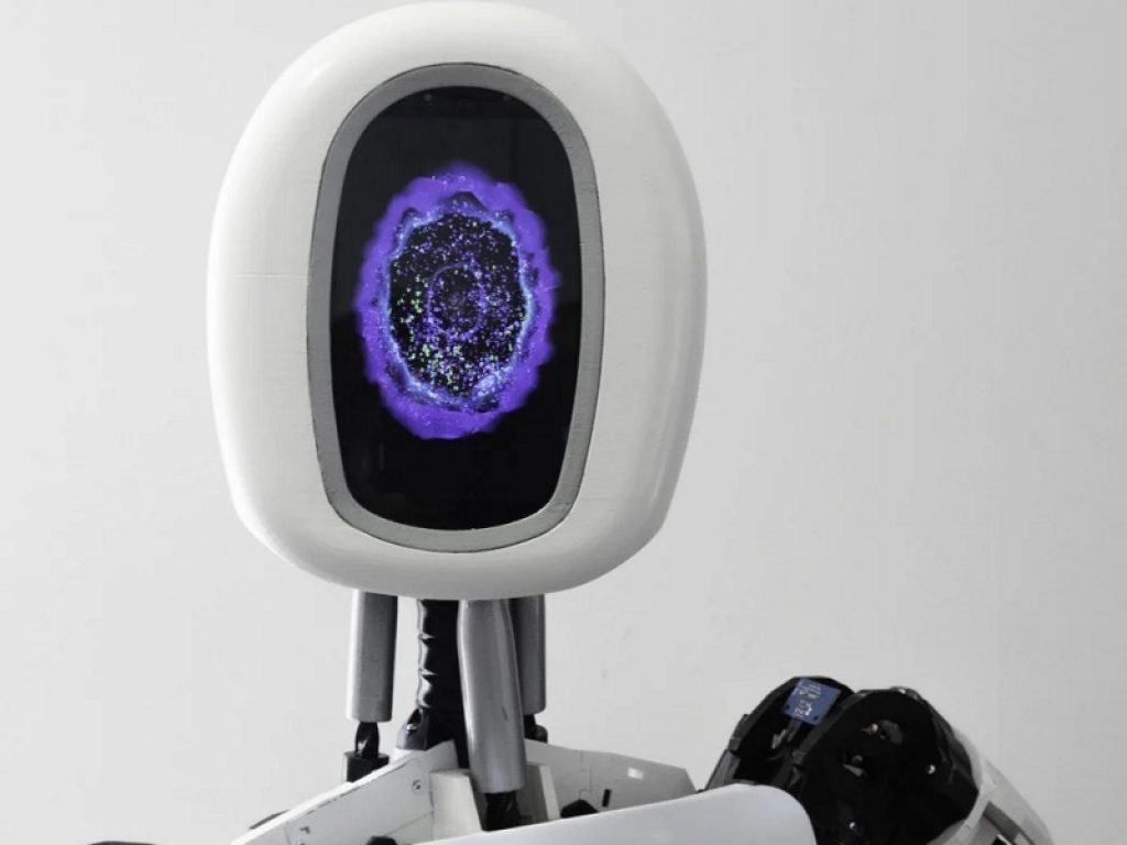 Serve un libro? Lo trova Rossana, il primo robot bibliotecaria