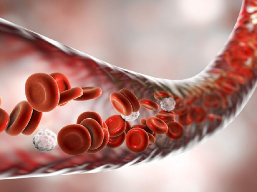 Nei pazienti sottoposti a rivascolarizzazione, rivaroxaban a basso dosaggio più aspirina riduce il rischio di tromboembolismo venoso (TEV) rispetto alla sola aspirina