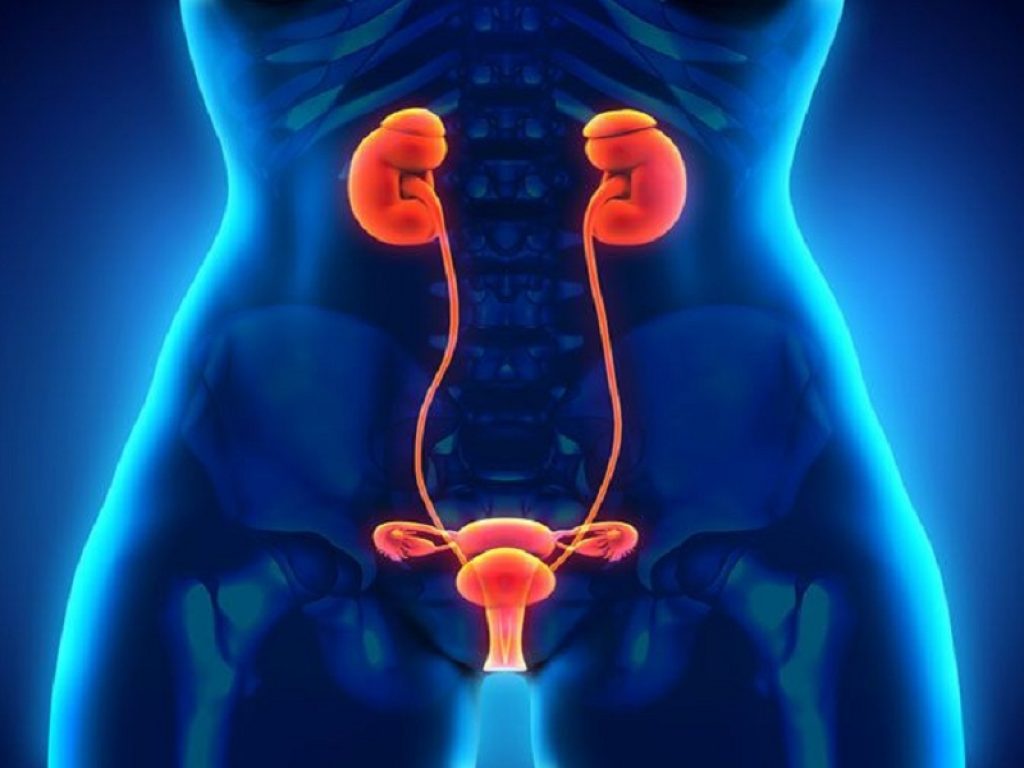 Alleanza contro il Tumore Ovarico