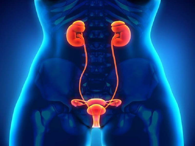 Alleanza contro il Tumore Ovarico