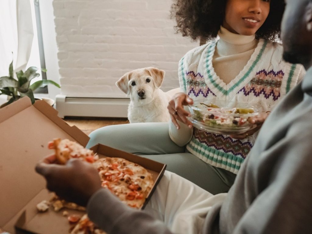Troppi cani in sovrappeso per l'alimentazione sbagliata