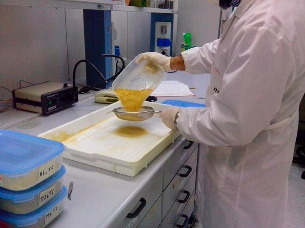 Da ENEA soluzioni e studi avanzati per trasformare i sistemi agroalimentari