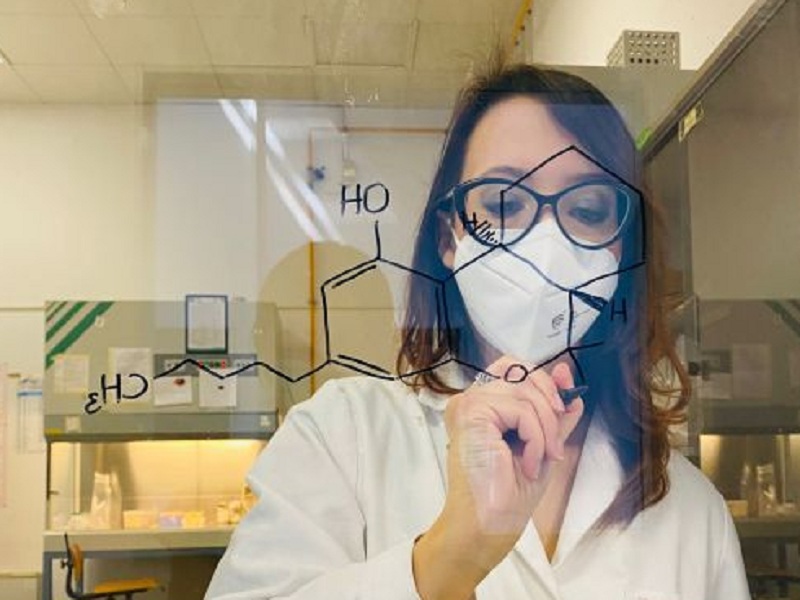 Fabiana Piscitelli del Cnr vince il Premio "Vincenzo Caglioti"