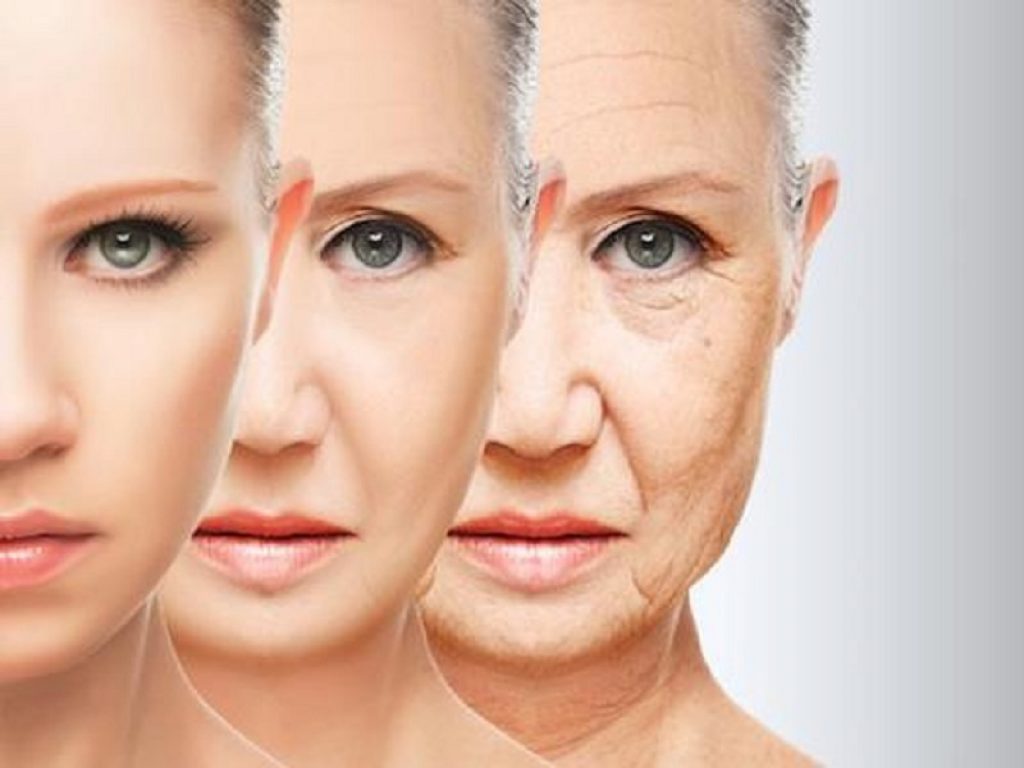 Invecchiamento: secondo un nuovo studio è influenzato da infiammazione, metabolismo lipidico e quello dei carboidrati