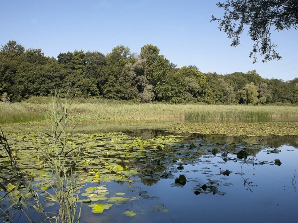 isolino unesco varese