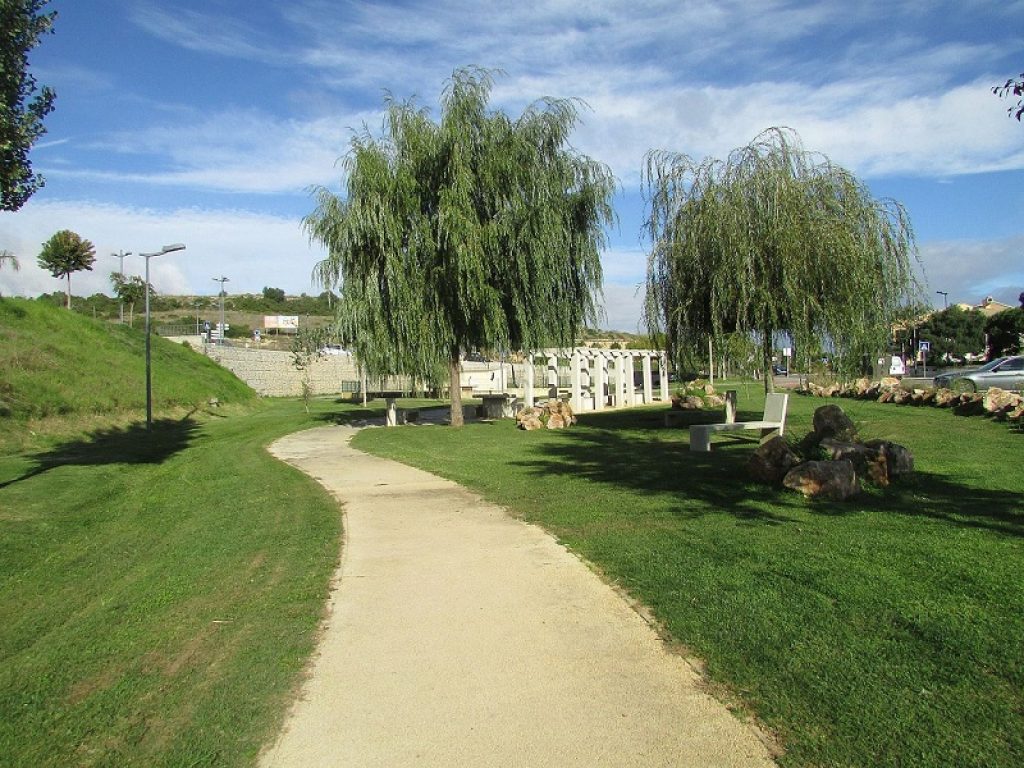 Verde urbano: in arrivo 6,6 milioni di nuovi alberi