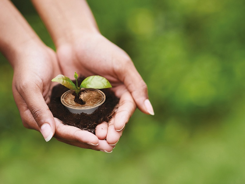 Caffè Borbone e Ofi (Olam Food Ingredients) presentano MWANYI, un progetto per promuovere progetti imprenditoriali di donne e giovani in Uganda.