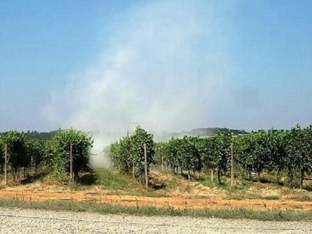 Dall'Ue copertura totale per le spese del Servizio fitosanitario regionale della Toscana contro gli organismi nocivi