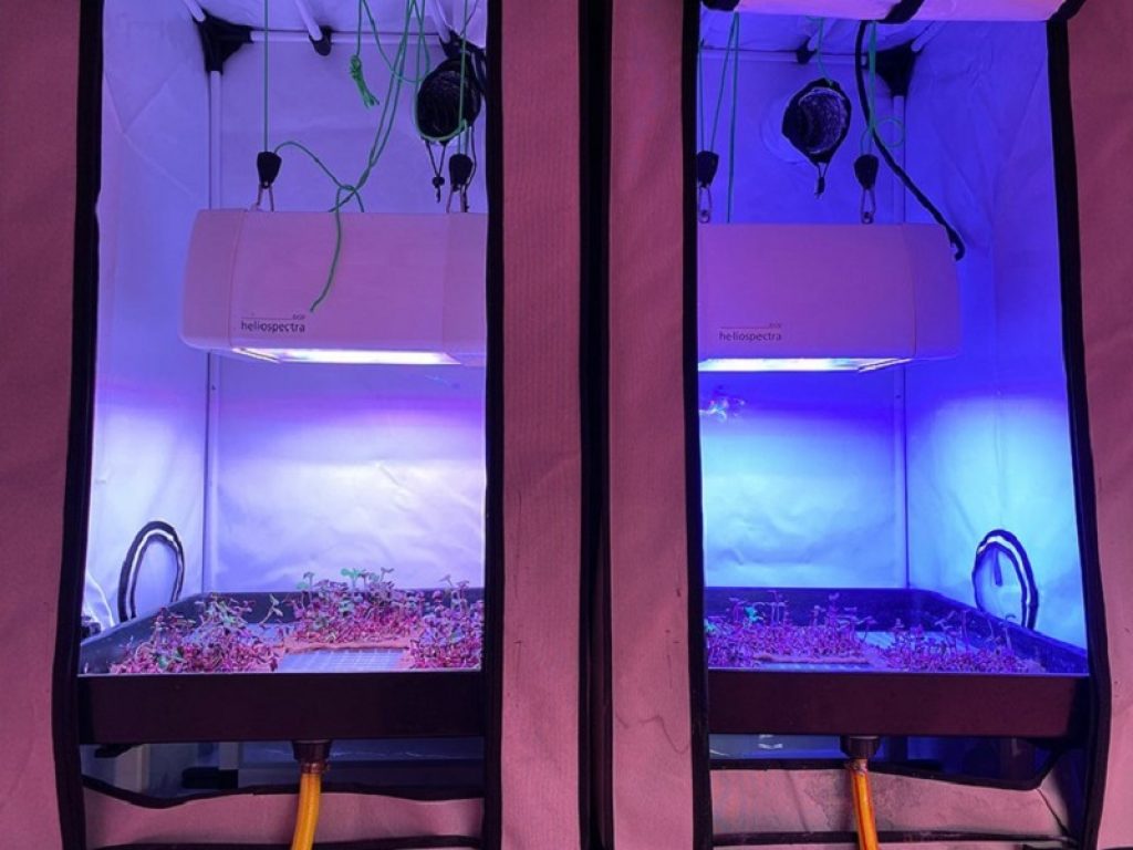 ENEA ha presentato il progetto SOLE per lo sviluppo di sistemi di illuminazione LED ad alta tecnologia da utilizzare in orti lunari per coltivare micro-ortaggi