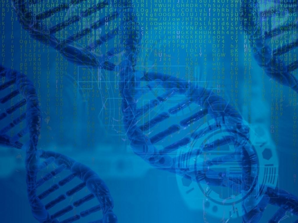 Con reString l'analisi di genoma e proteine è super veloce