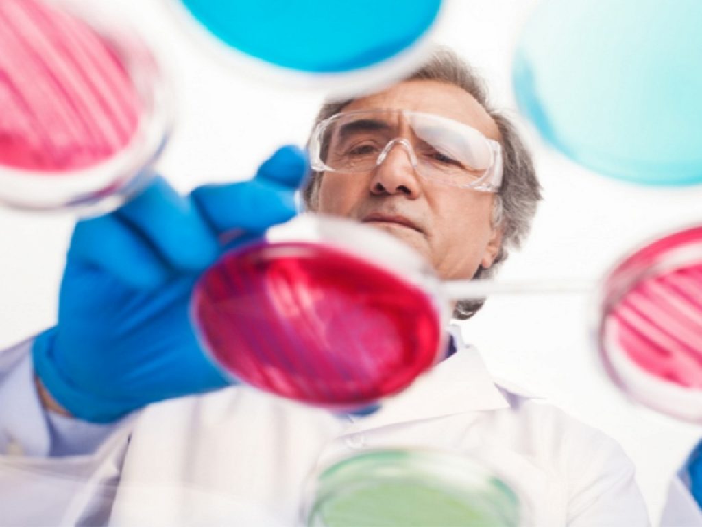 Per contrastare le infezioni da batteri multiresistenti, arriva il via libera del Chmp per il nuovo antibiotico aztreonam-avibactam