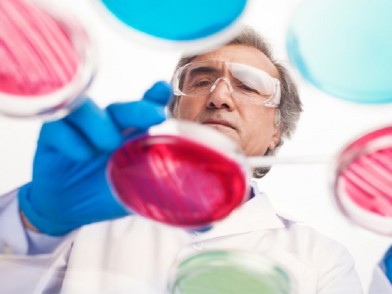 Batteri multiresistenti: SIMIT chiede di fare rete